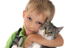 Kid Holding Cat